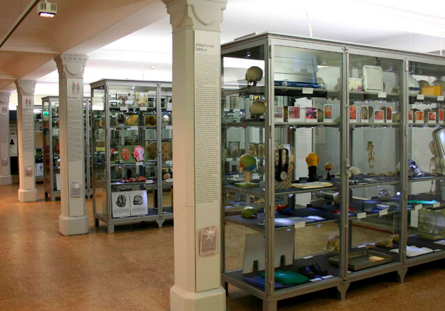 Medicinsk Museum